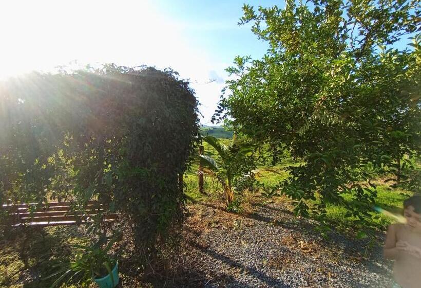 Hospedaria Pousada Flores De Ipê