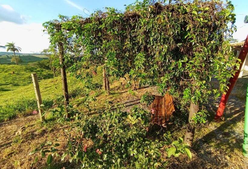 Hospedaria Pousada Flores De Ipê