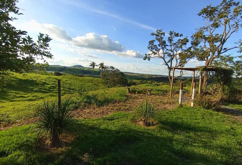 Hospedaria Pousada Flores De Ipê