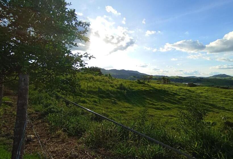 Hospedaria Pousada Flores De Ipê