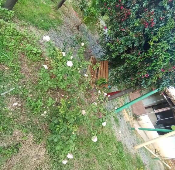 Hospedaria Pousada Flores De Ipê