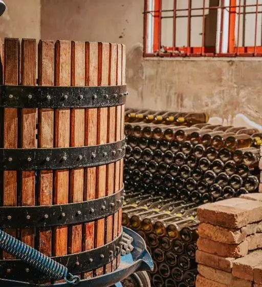 پانسیون Otavi Vineyards Self Catering & Camping