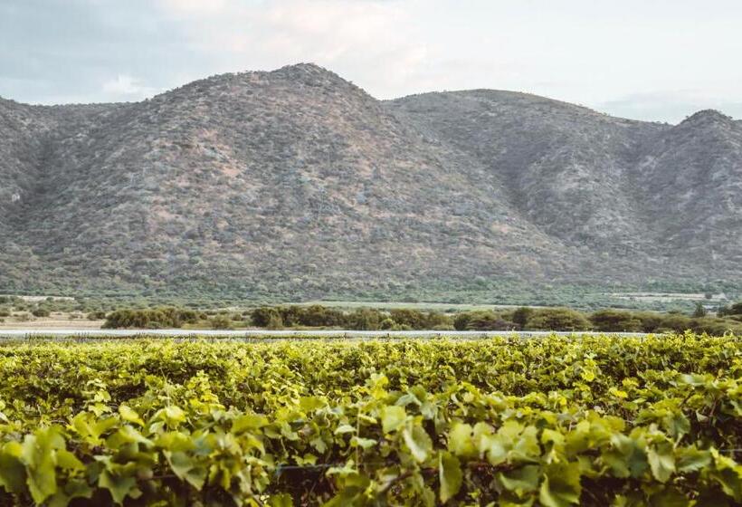 پانسیون Otavi Vineyards Self Catering & Camping