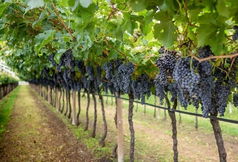 Hotelli Agritur Maso Carpené