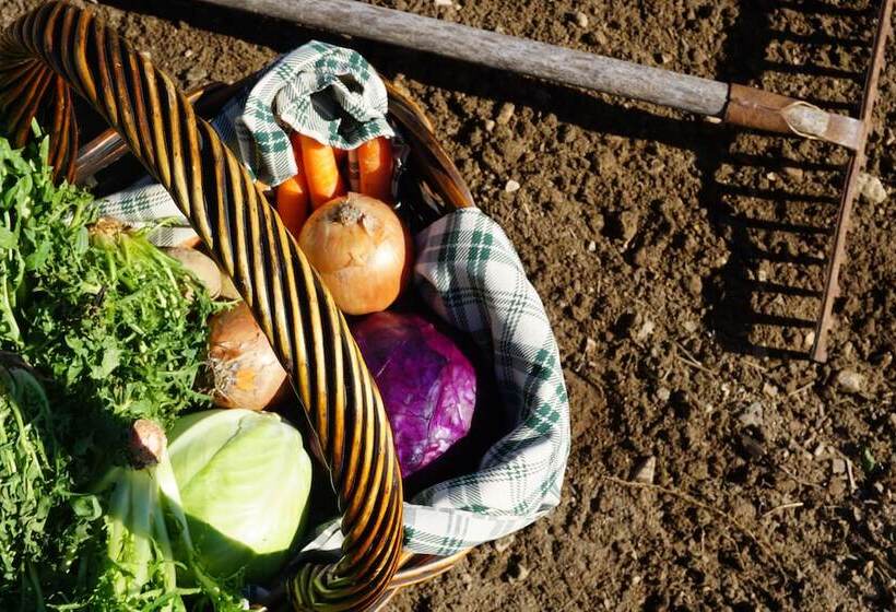 ホテル Agritur Maso Carpené