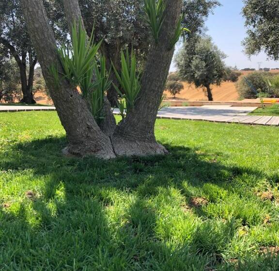 فندق Monte Papa Toucinho