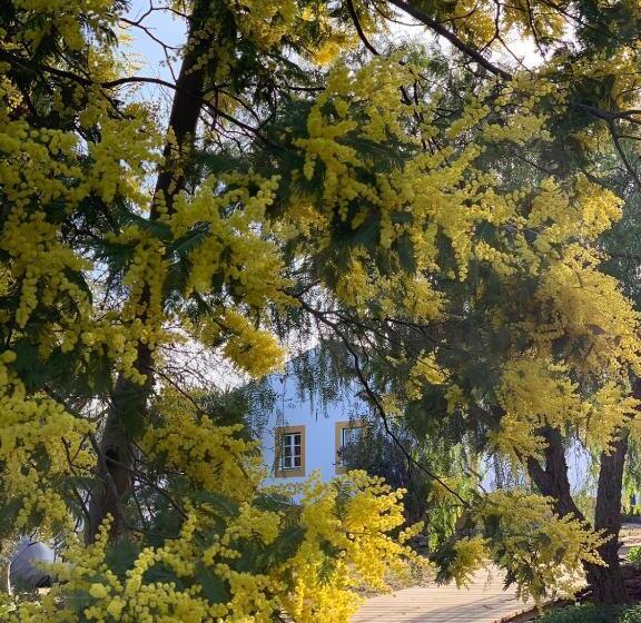 فندق Monte Papa Toucinho