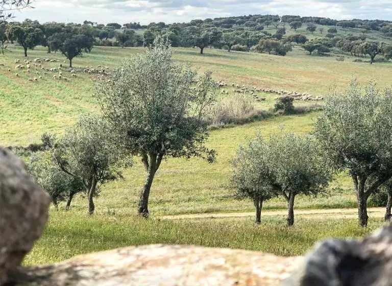 ホテル Monte Papa Toucinho