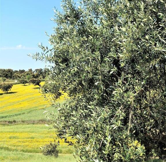 فندق Monte Papa Toucinho