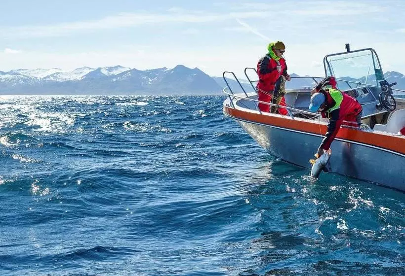 Northern Light Hotell/camp Steinfjord