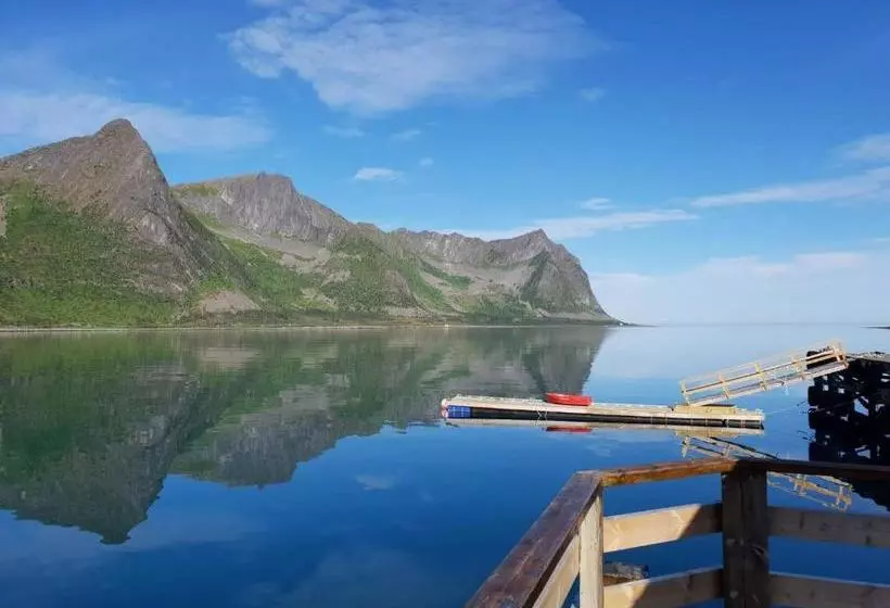 Northern Light Hotell/camp Steinfjord