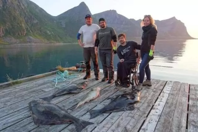 Northern Light Hotell/camp Steinfjord