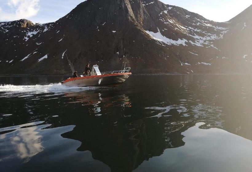 Northern Light Hotell/camp Steinfjord