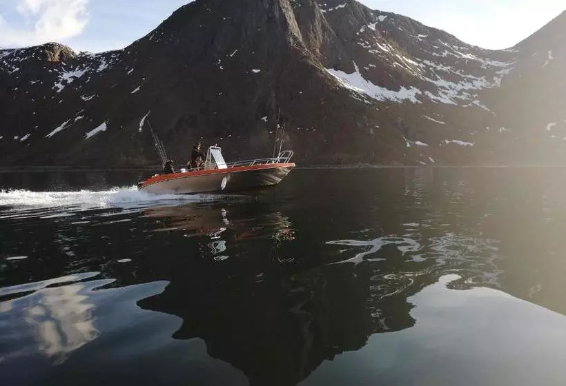 Northern Light Hotell/camp Steinfjord