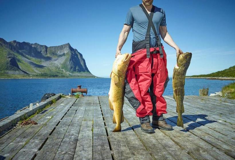 Northern Light Hotell/camp Steinfjord