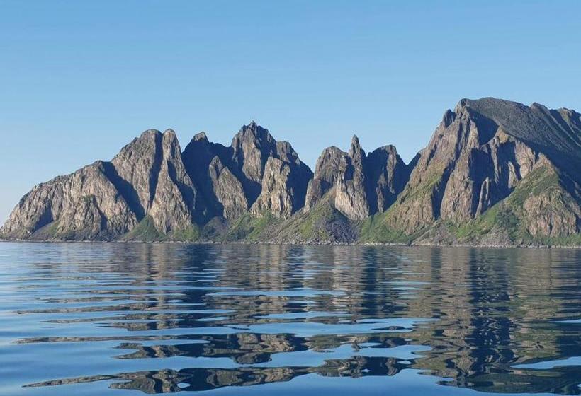 Northern Light Hotell/camp Steinfjord