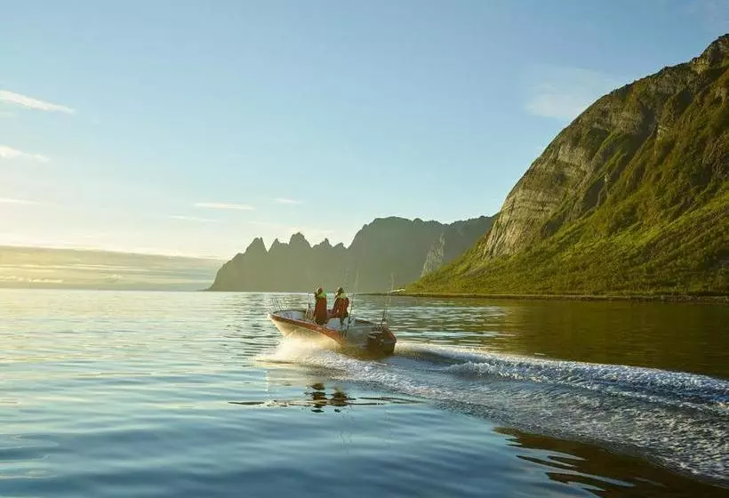 Northern Light Hotell/camp Steinfjord