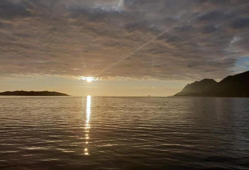 Northern Light Hotell/camp Steinfjord