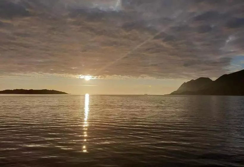 Northern Light Hotell/camp Steinfjord