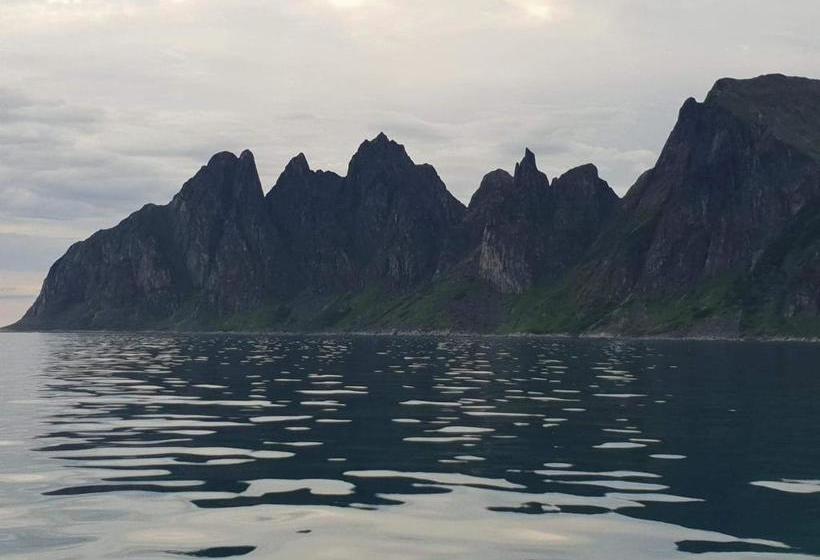 Northern Light Hotell/camp Steinfjord