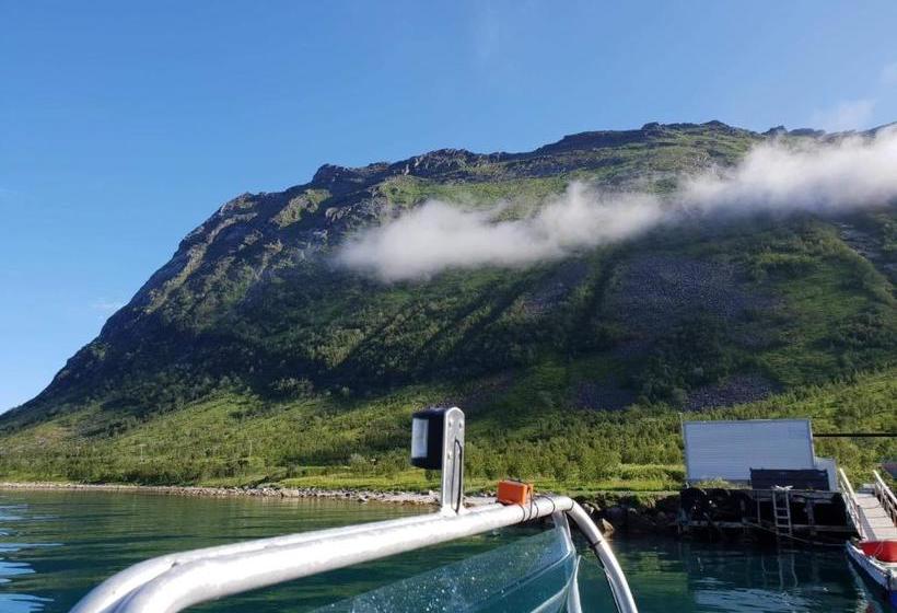 Northern Light Hotell/camp Steinfjord