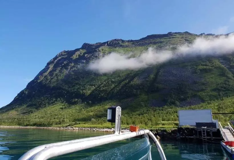 Northern Light Hotell/camp Steinfjord