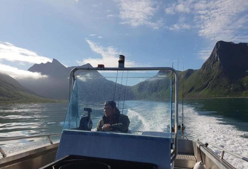 Northern Light Hotell/camp Steinfjord