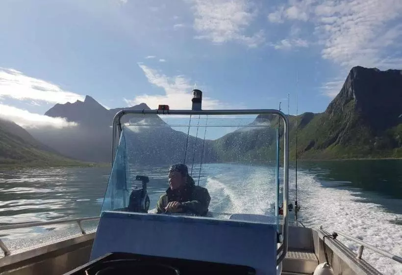 Northern Light Hotell/camp Steinfjord