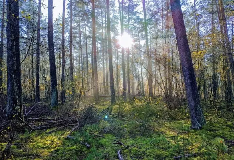 Apartment In Historischem Gebäude
