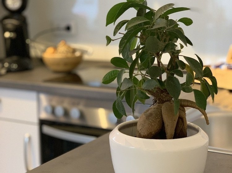 Apartment Köln Ensen