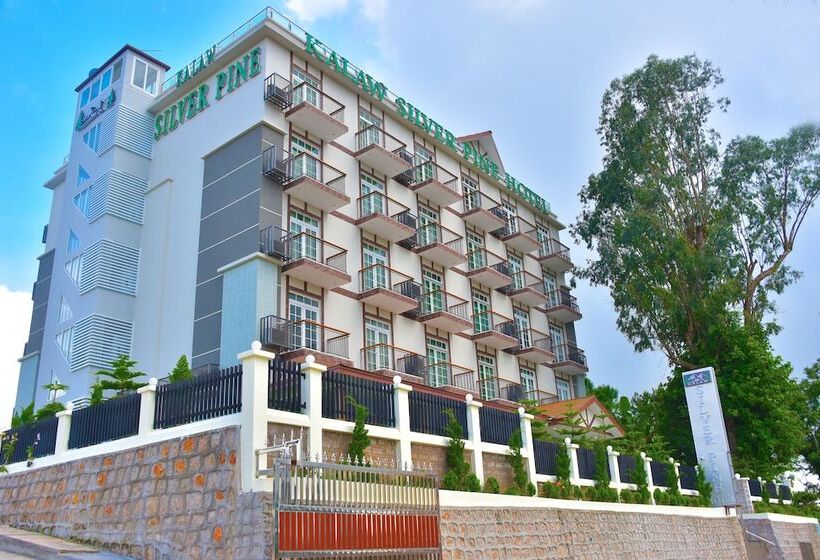 هتل Kalaw Silver Pine