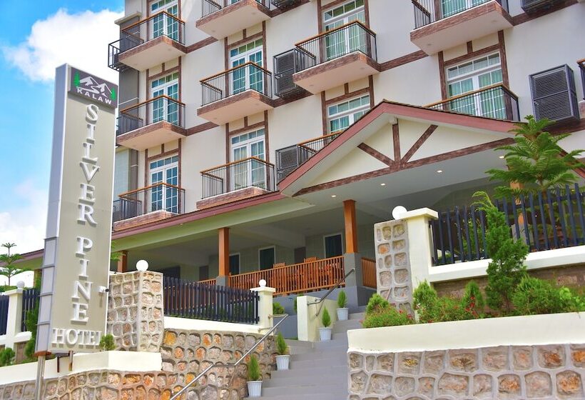 هتل Kalaw Silver Pine