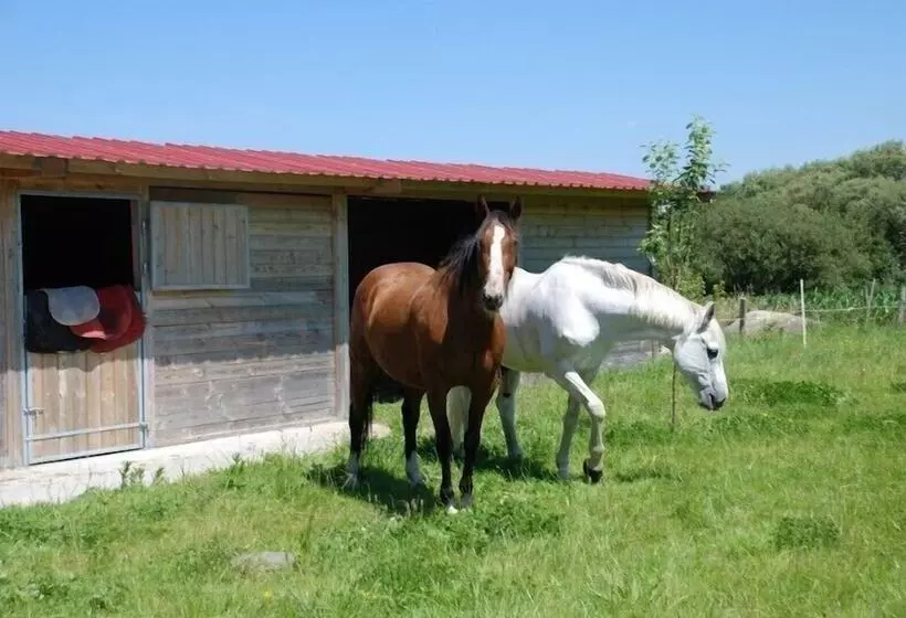 Majatalo Cottage Maison Drogou