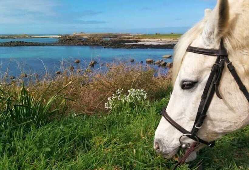 بنسيون Cottage Maison Drogou