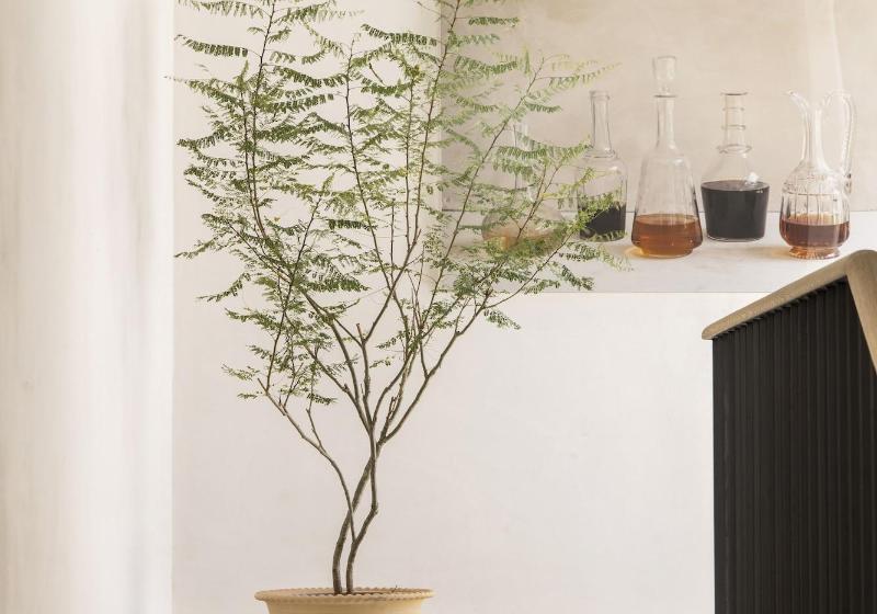 فندق Bodega Tio Pepe