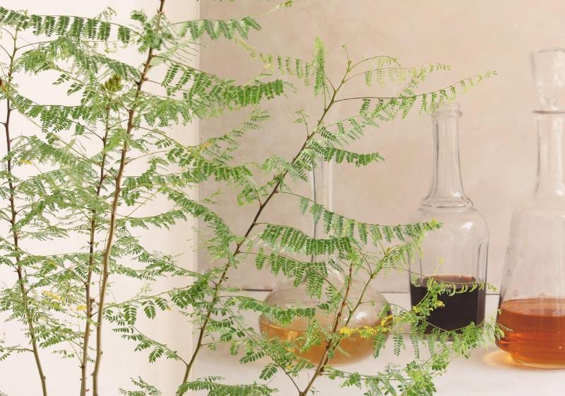 فندق Bodega Tio Pepe