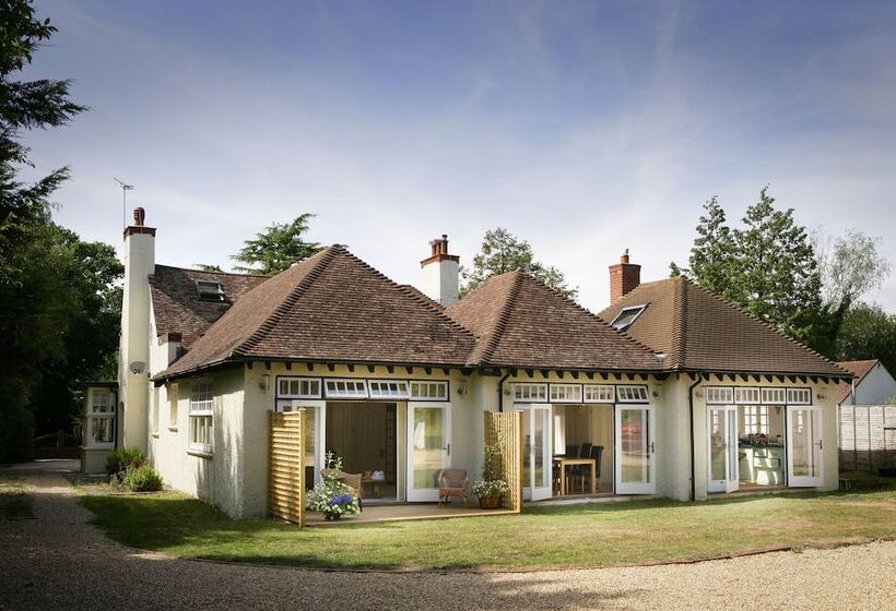 ホテル Daisybank Cottage