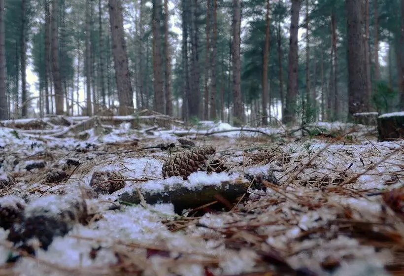 Hotelli Daisybank Cottage