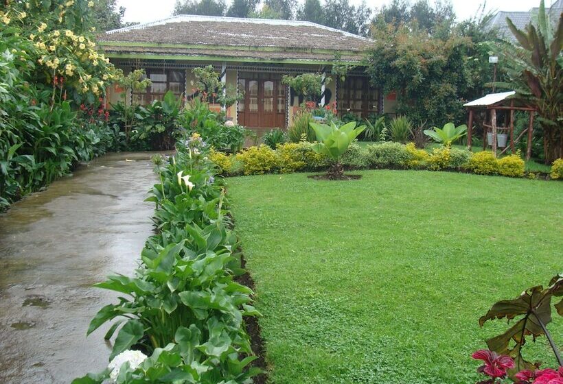 هتل One&only Gorilla's Nest