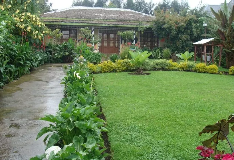 هتل One&only Gorilla's Nest