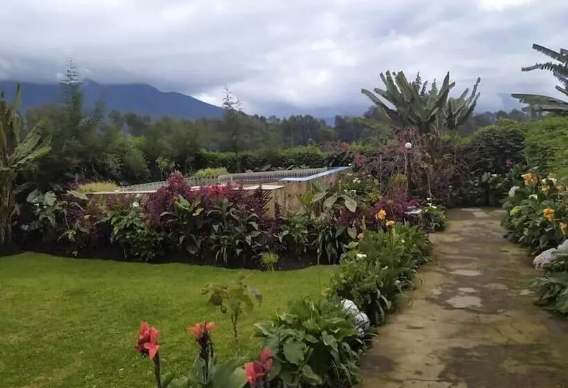 هتل One&only Gorilla's Nest