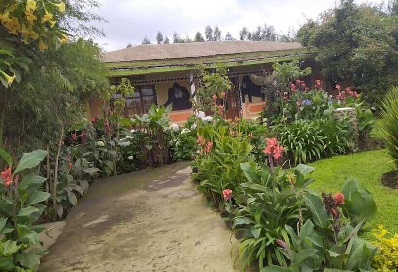 هتل One&only Gorilla's Nest