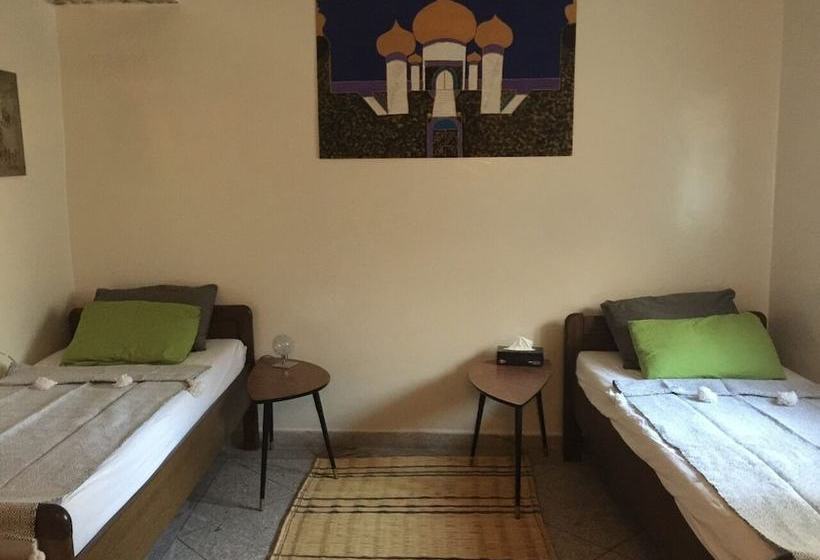 Life Surf Morocco Hostel