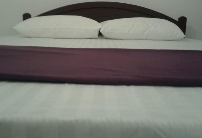 بنسيون Lemuria