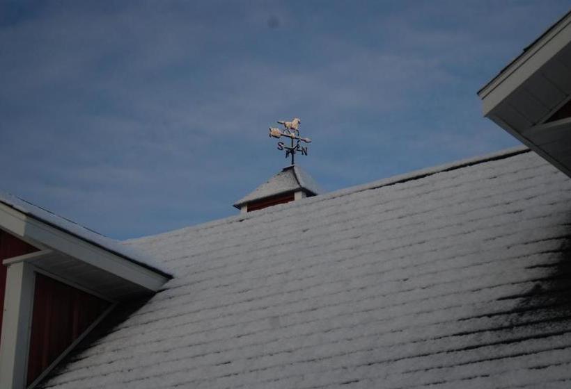 مبيت وإفطار The Black Horse Inn