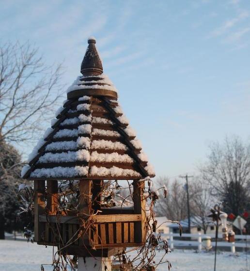 مبيت وإفطار The Black Horse Inn