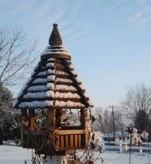 Aamiaismajoitus (B&B) The Black Horse Inn