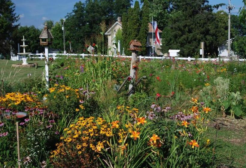 مبيت وإفطار The Black Horse Inn