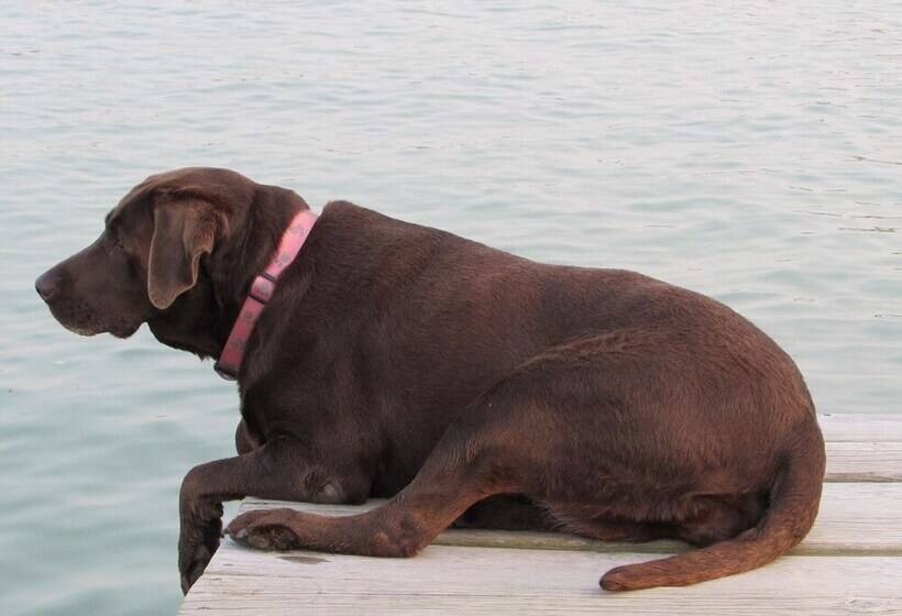 호텔 Grand Lake Resort