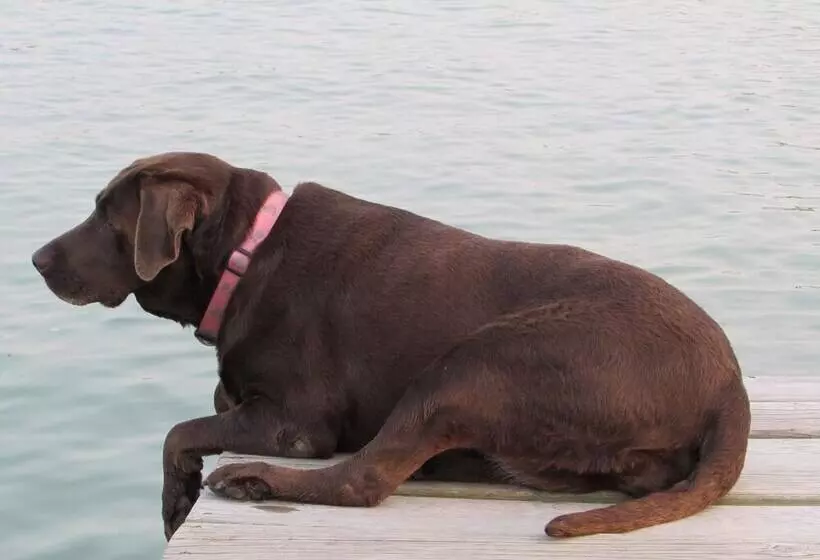 Hotelli Grand Lake Resort